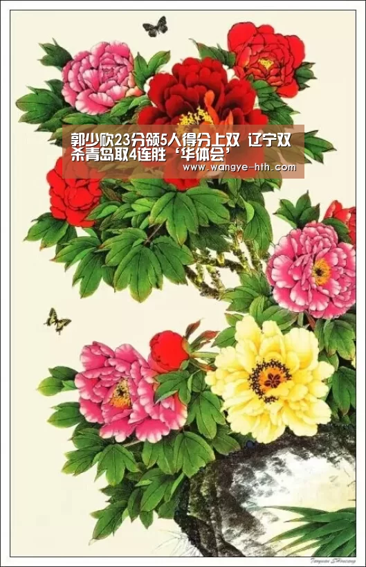 华体会入口