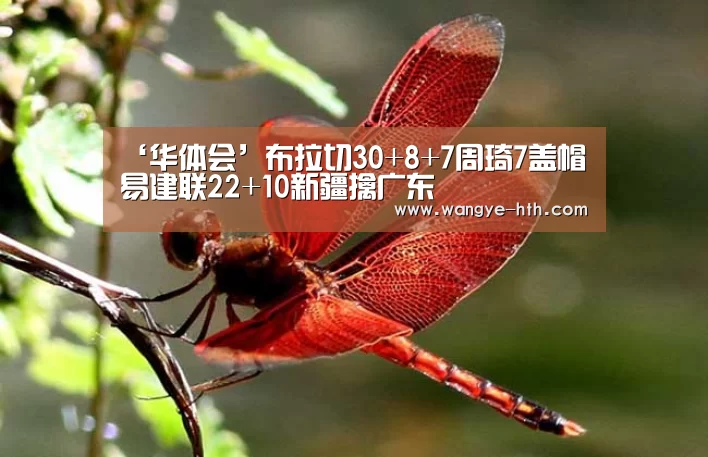 ‘华体会’布拉切30+8+7周琦7盖帽 易建联22+10新疆擒广东
